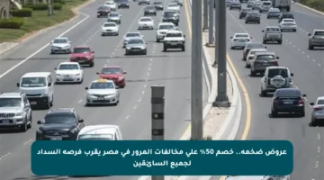 عروض ضخمة.. خصم 50% على مخالفات المرور في مصر يقرب فرصة السداد لجميع السائقين